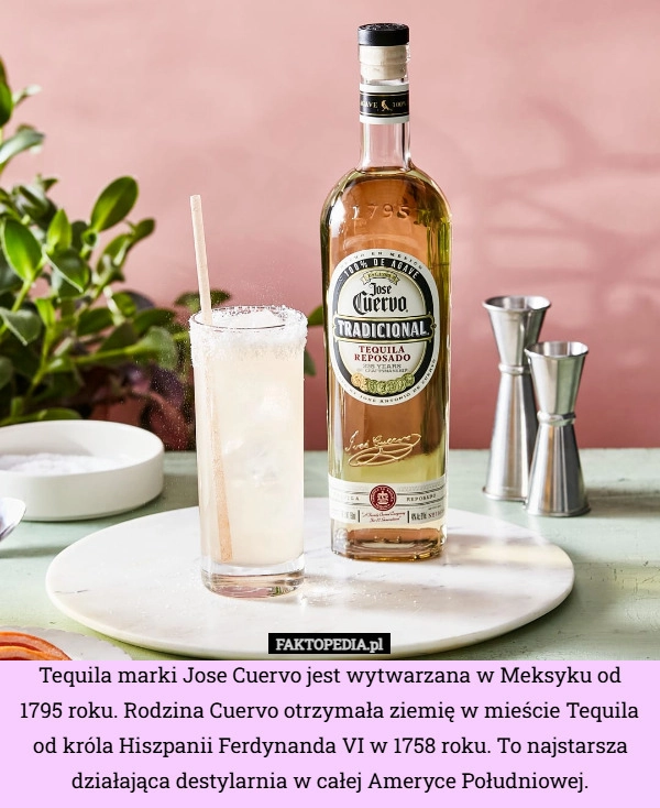 
    Tequila marki Jose Cuervo jest wytwarzana w Meksyku od 1795 roku. Rodzina