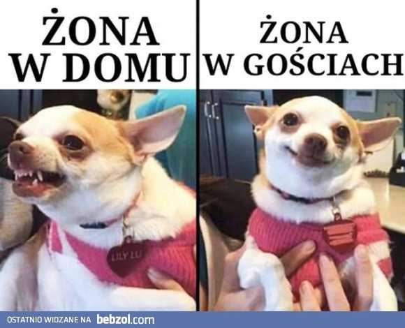 
    Żona