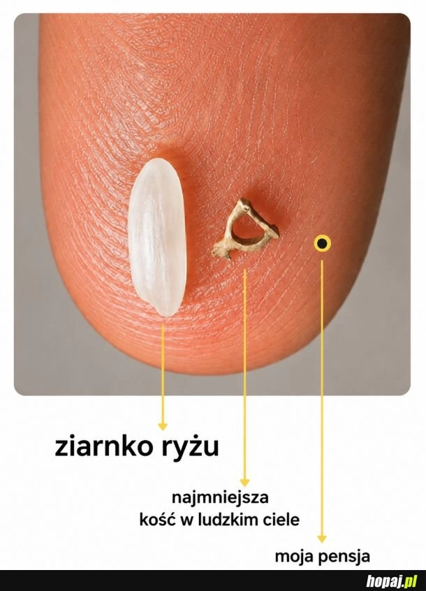 
    Najmniejsze rzeczy