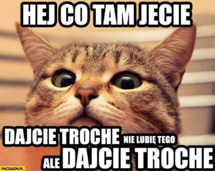 
    Kot hej co tam jecie, dajcie trochę, nie lubię tego ale dajcie trochę