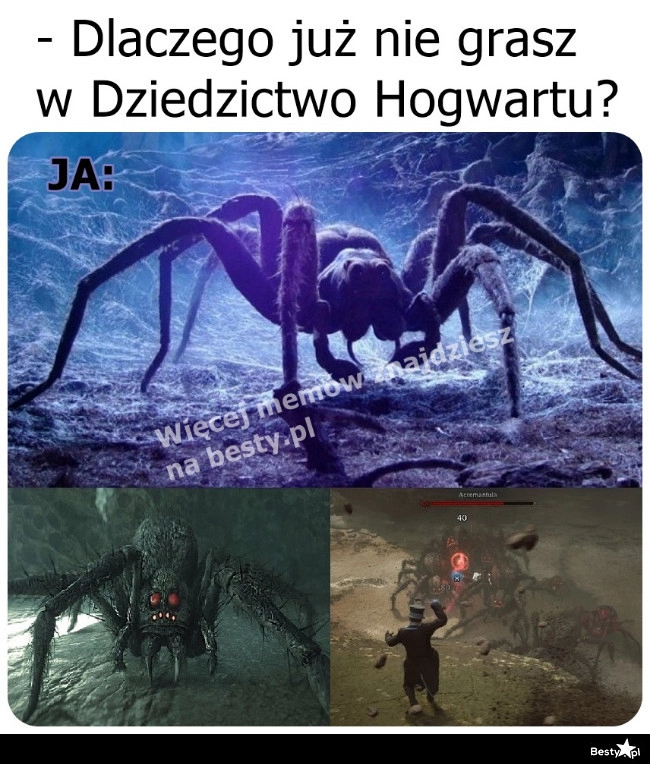 
    Postarali się z tymi pająkami 