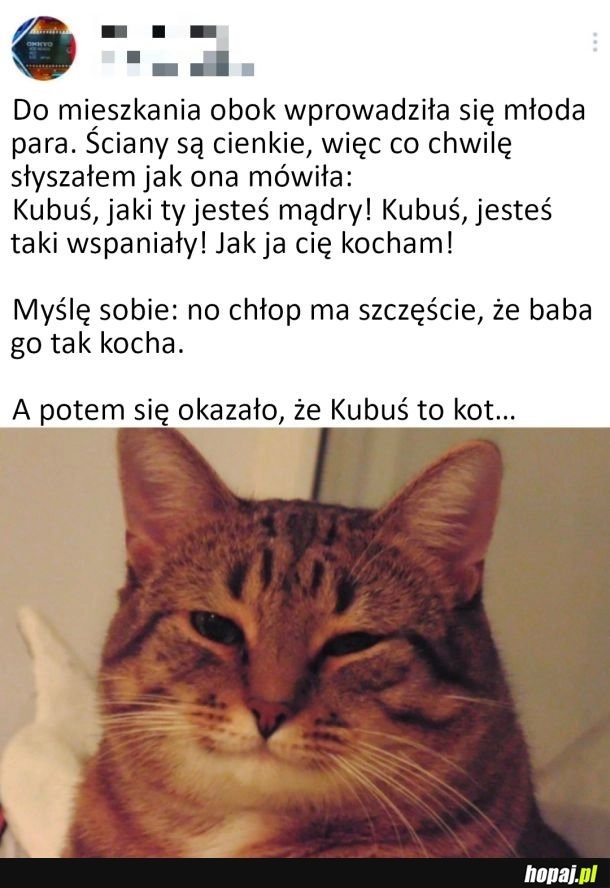 
    Farciarz...