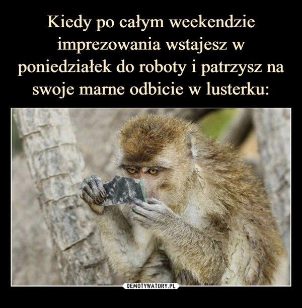 
    Kiedy po całym weekendzie imprezowania wstajesz w poniedziałek do roboty i patrzysz na swoje marne odbicie w lusterku: