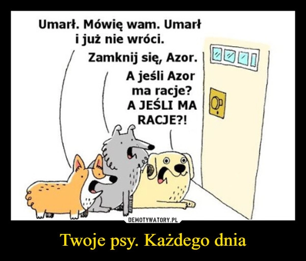 
    Twoje psy. Każdego dnia