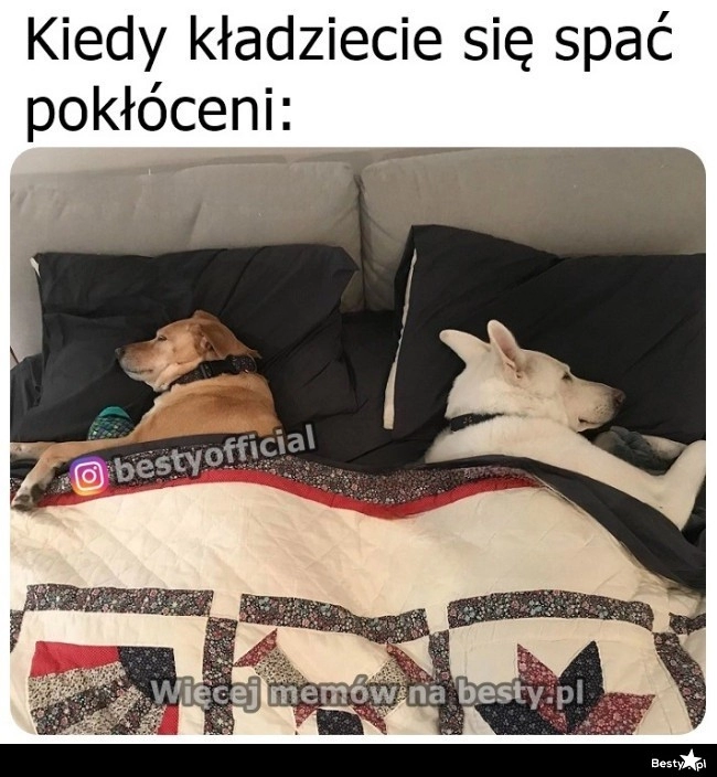 
    Dzisiaj bez przytulasków 