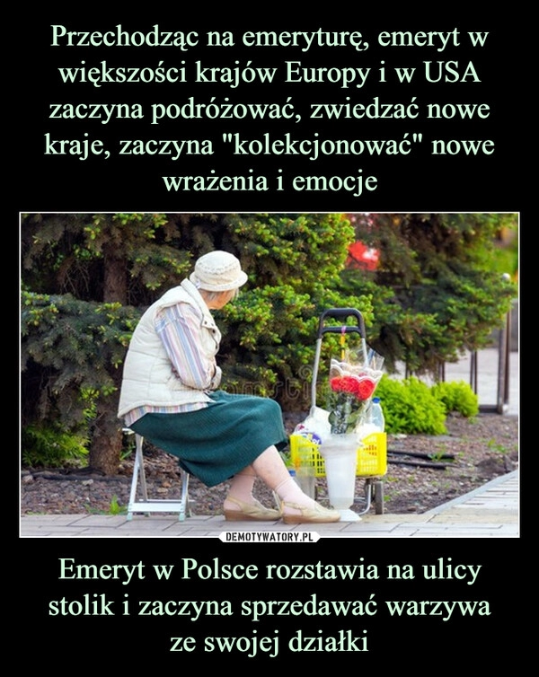 
    Przechodząc na emeryturę, emeryt w większości krajów Europy i w USA zaczyna podróżować, zwiedzać nowe kraje, zaczyna "kolekcjonować" nowe wrażenia i emocje Emeryt w Polsce rozstawia na ulicy stolik i zaczyna sprzedawać warzywa
ze swojej działki