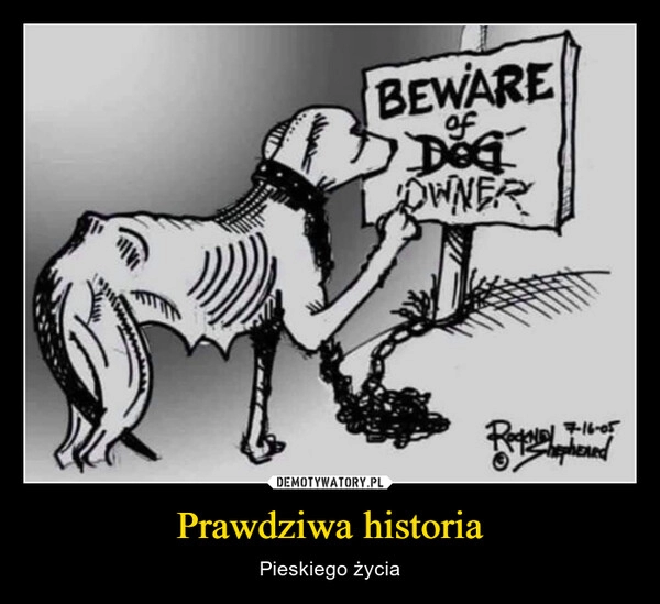 
    Prawdziwa historia