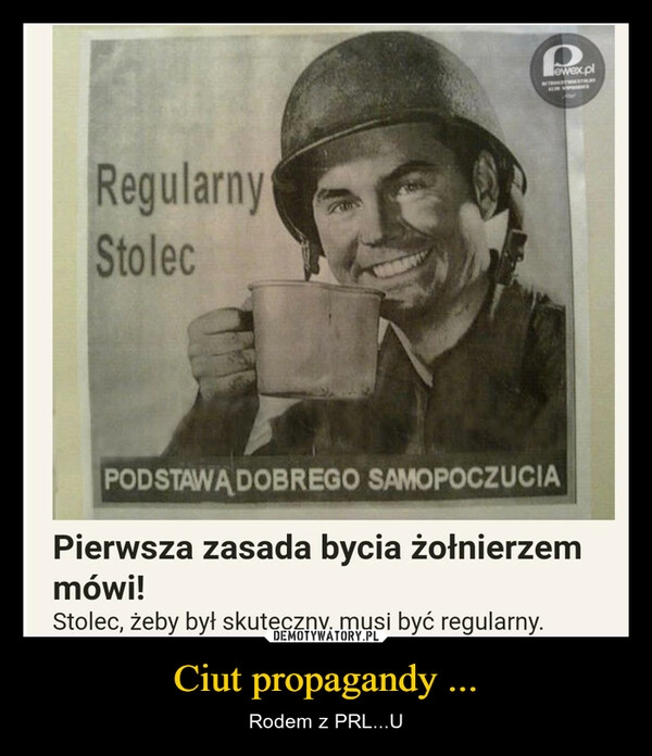 
    Ciut propagandy ...