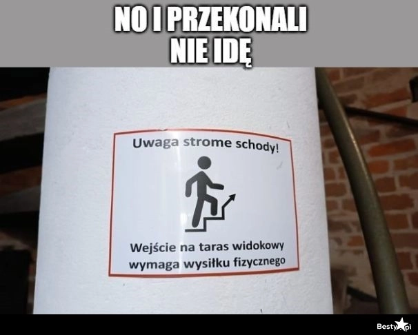 
    Przekonali 