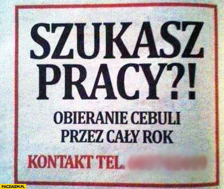 
    Szukasz pracy? Obieranie cebuli przez cały rok