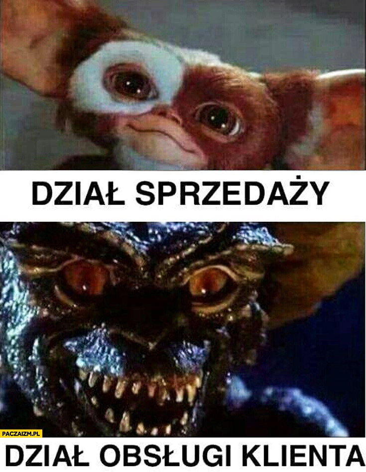 
    Dział sprzedaży, dział obsługi klienta Gizmo