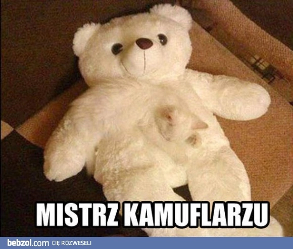 
    Mistrz kamuflażu