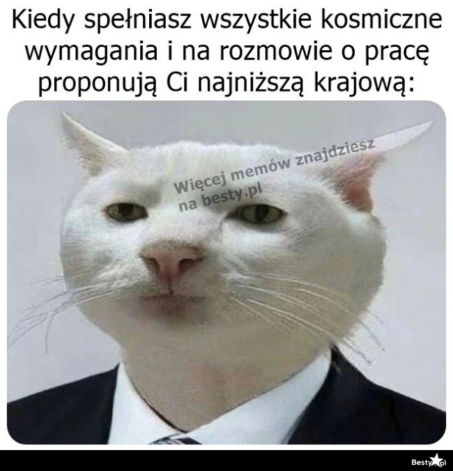 
    Czy to jakiś żart? 