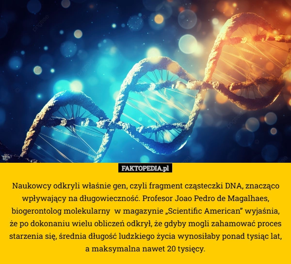 Naukowcy odkryli właśnie gen, czyli fragment cząsteczki DNA, znacząco wpływający