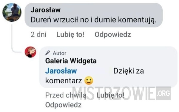 
    Komentarz