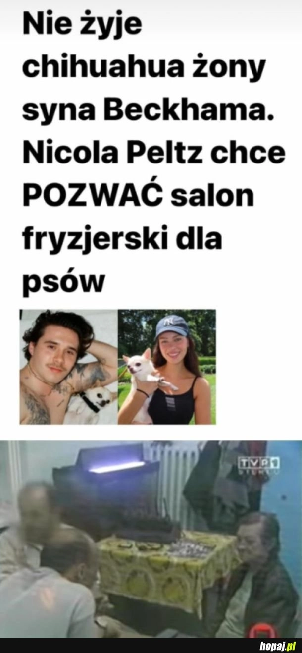 
    To który ku**a jest synem kogo 