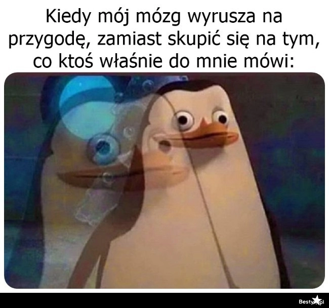 
    Możesz powtórzyć? 