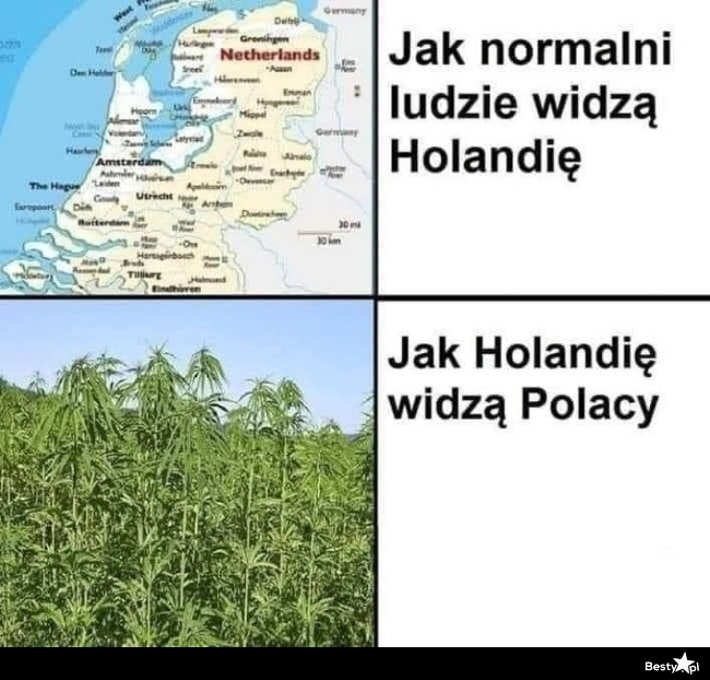 
    Holandia 