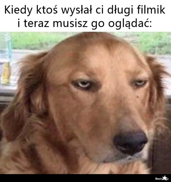 
    Długi filmik 