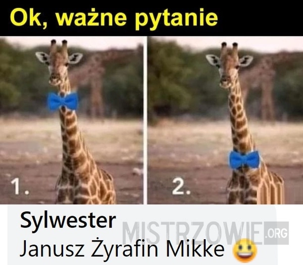 
    Żyrafa