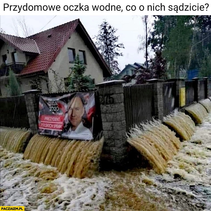 
    Przydomowe oczka wodne co o nich sądzicie? Powódź