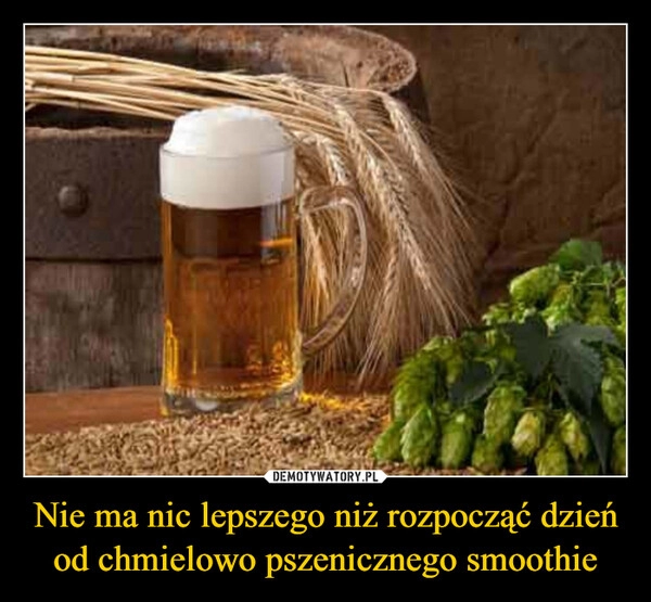 
    Nie ma nic lepszego niż rozpocząć dzień od chmielowo pszenicznego smoothie