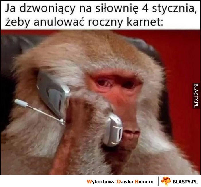 
    Ja dzwoniący na siłownię 4 stycznia żeby anulować roczny karnet małpa