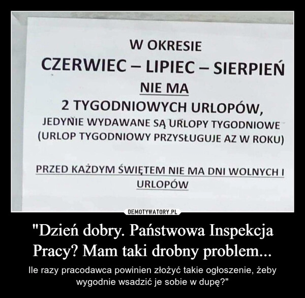 
    "Dzień dobry. Państwowa Inspekcja Pracy? Mam taki drobny problem...