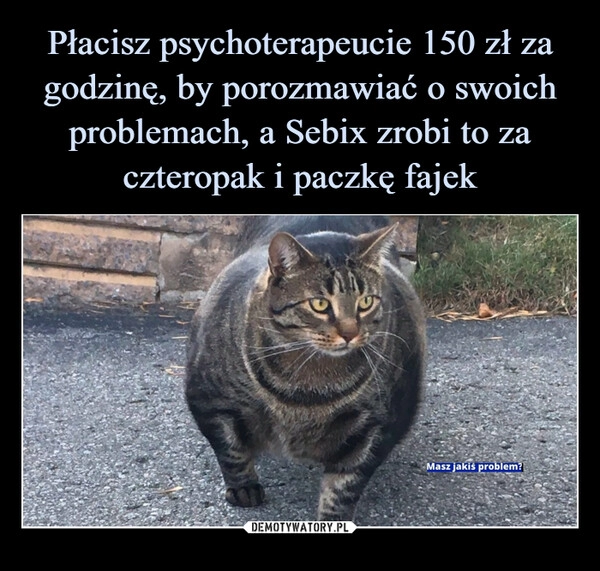 
    Płacisz psychoterapeucie 150 zł za godzinę, by porozmawiać o swoich problemach, a Sebix zrobi to za czteropak i paczkę fajek 