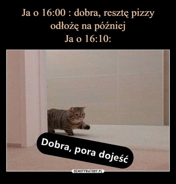 
    Ja o 16:00 : dobra, resztę pizzy odłożę na później
Ja o 16:10: