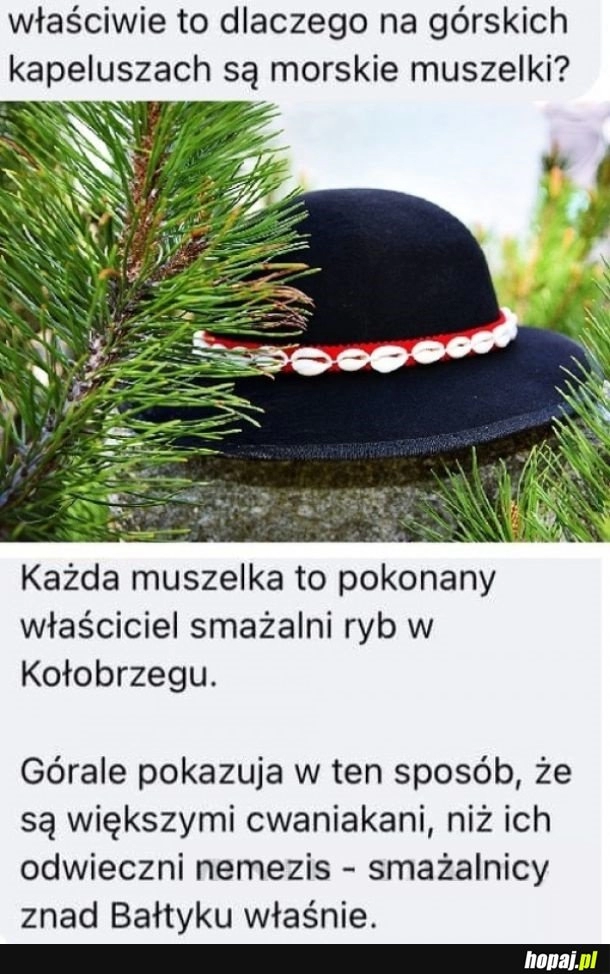 
    Muszelki na górskich kapeluszach