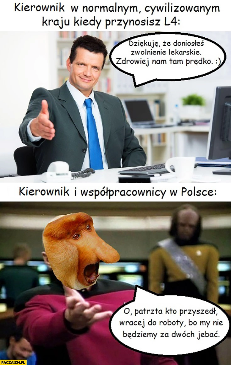 
    Kierownik w normalnym cywilizowanym kraju kiedy przynosisz L4 vs kierownik i współpracownicy w Polsce o patrzta kto przyszedł wracaj do roboty typowy Polak nosacz małpa