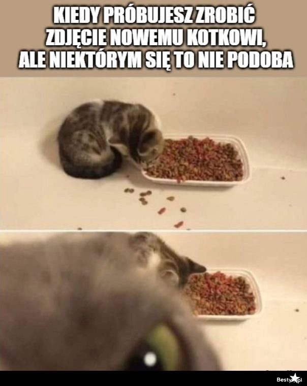 
    Niektórym to się nie podoba 