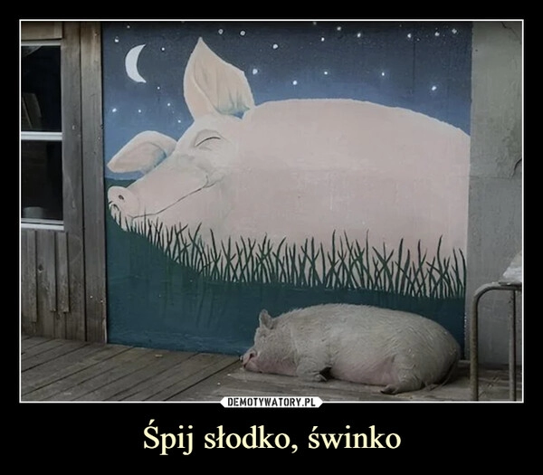 
    Śpij słodko, świnko