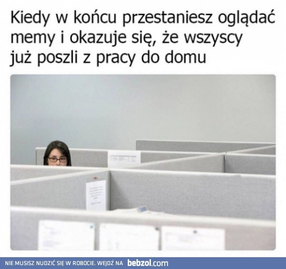 
    Zleciało