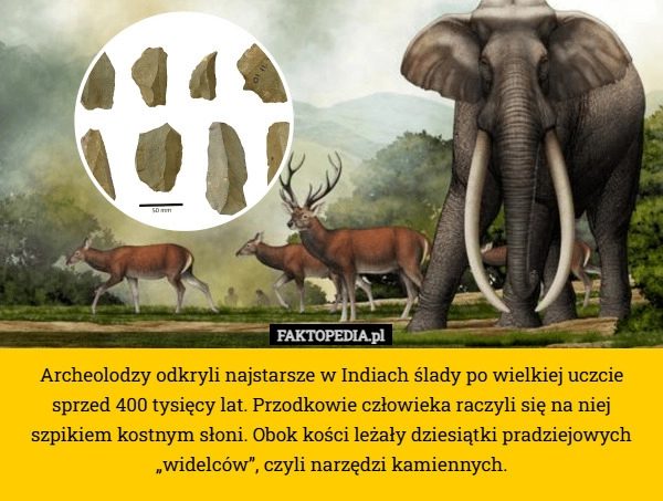 
    Archeolodzy odkryli najstarsze w Indiach ślady po wielkiej uczcie sprzed