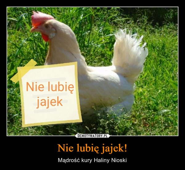 
    Nie lubię jajek!