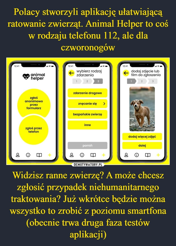 
    Polacy stworzyli aplikację ułatwiającą ratowanie zwierząt. Animal Helper to coś w rodzaju telefonu 112, ale dla czworonogów Widzisz ranne zwierzę? A może chcesz zgłosić przypadek niehumanitarnego traktowania? Już wkrótce będzie można wszystko to zrobić z poziomu smartfona (obecnie trwa druga faza testów aplikacji)