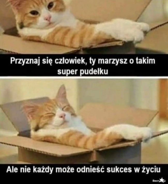 
    Sukces w życiu 