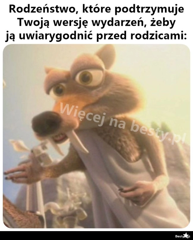 
    Plusy rodzeństwa 