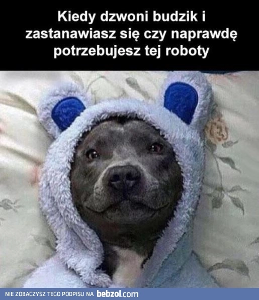 
    Może nie może tak