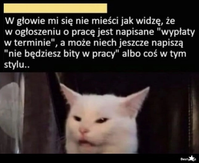 
    Wypłaty w terminie 