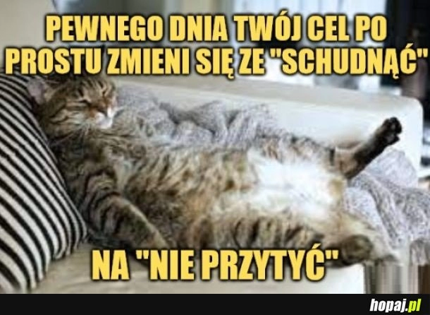 
    Cele życiowe.