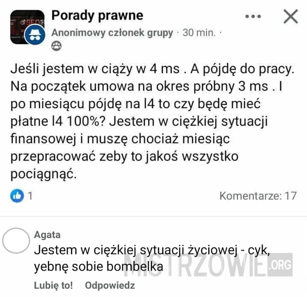 
    Powalająca logika