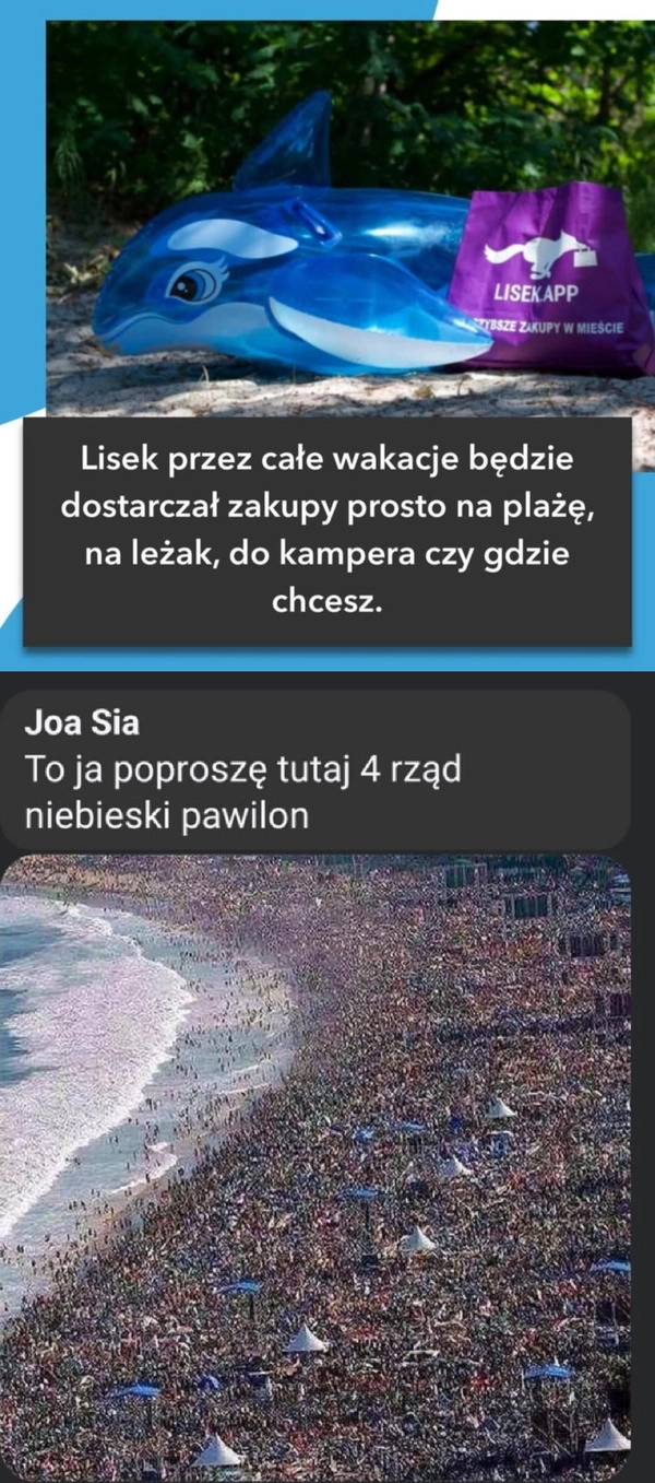 
    Lisek dostarcza zakupy