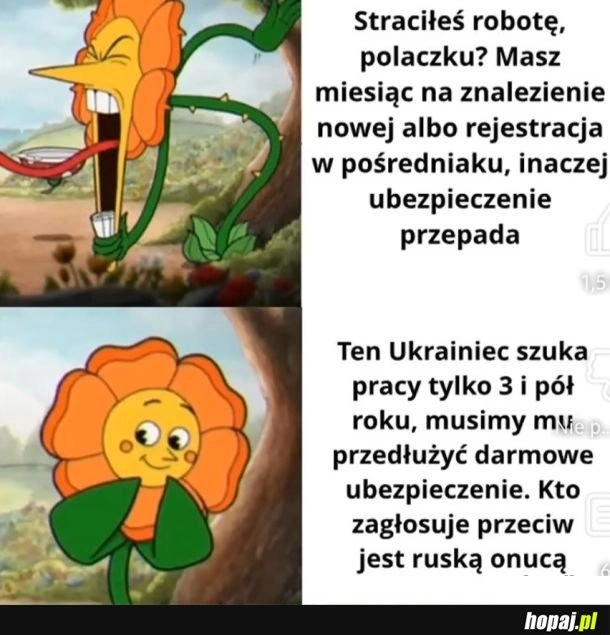 
    Ubezpieczenie