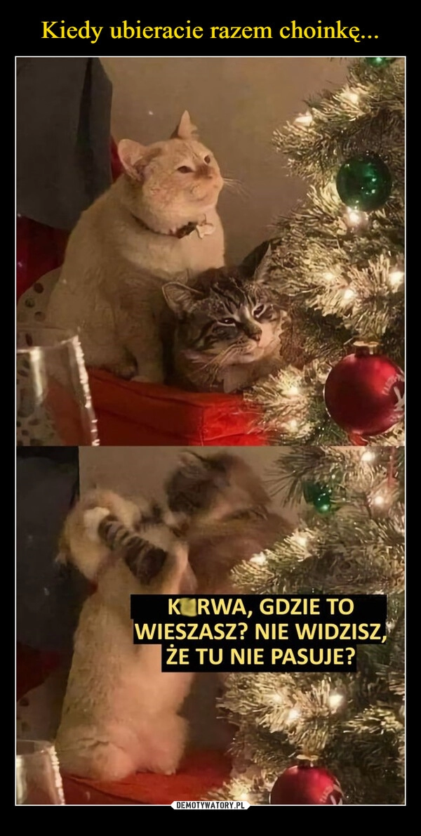 
    Kiedy ubieracie razem choinkę...