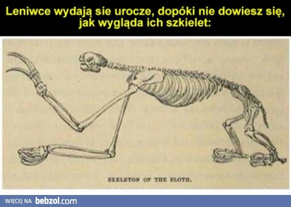
    Trochę przerażające...