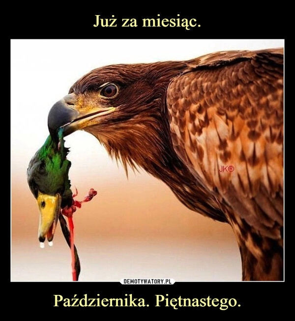 
    Już za miesiąc. Października. Piętnastego.