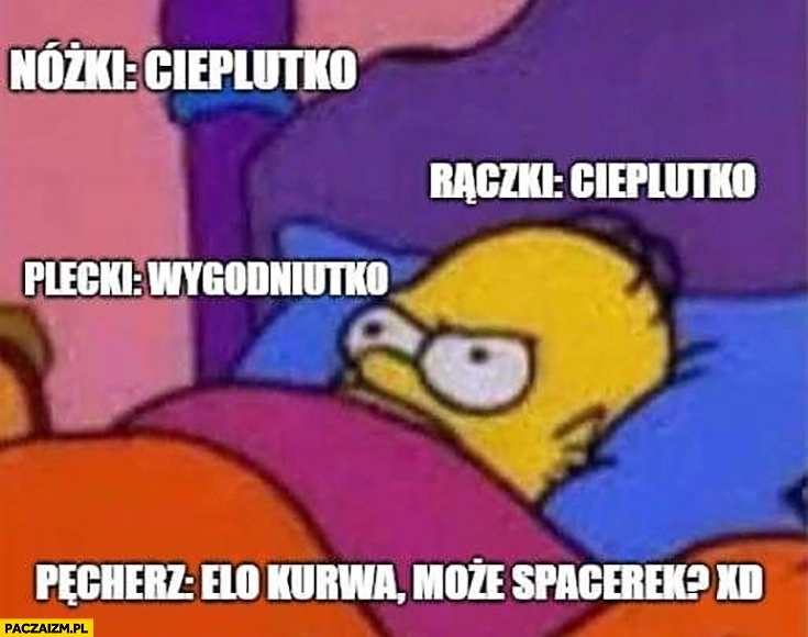 
    Nóżki, rączki cieplutko, plecki wygodniutko, pęcherz elo może spacerek? Simpsons